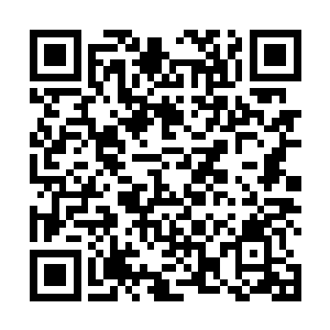 正当贝海这边望着满眼或粉红或白色的桃花发愣的时候二维码生成