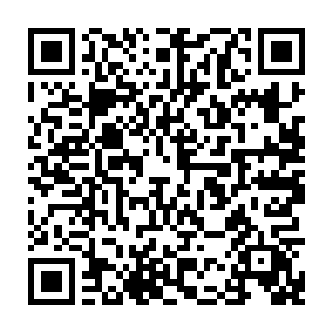 正当龙傲天走着无聊的时候忽然从旁边的屋里走出一个小男孩对着龙傲天说道二维码生成