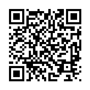 正待管盼与汪部长相互之间客气着二维码生成