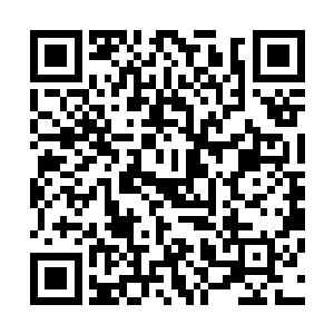 正急的如同乱撞的苍蝇一般的褐土一听这话立刻停下了脚步二维码生成