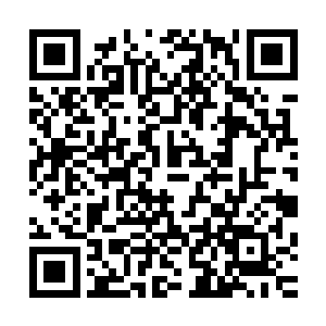 正愁着讨不着那狐仙娘小美人儿的欢心却又有美人儿送上了门二维码生成