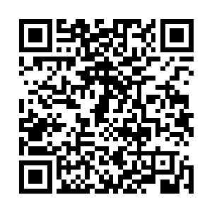 正打算给流墨墨她们普及一下凡人的青春年少的冲动是什么二维码生成