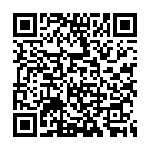 正是之前在扬州府与我有过一面之缘的桐山四杰二维码生成