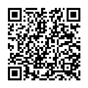 正是之前洪大力的母亲兰若溪送给她的碧水指环二维码生成