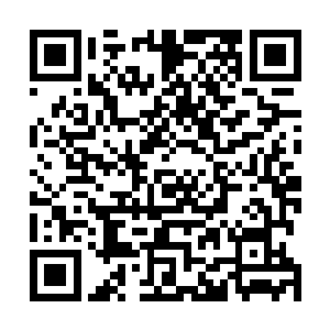 正是之前被传奇圣武士与苦行僧合力打爆的那台金刚魔像二维码生成