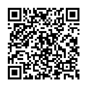 正是亿万年间的点点滴滴塑造了今天的人类文明二维码生成