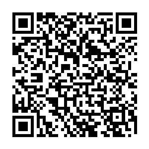 正是今天早上被谢兰兰领进门诊手术室的那个光头汉子和手下的七八个小弟二维码生成