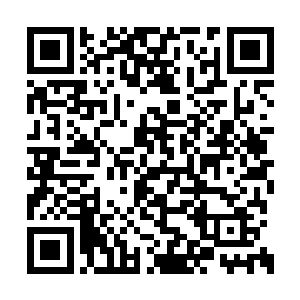 正是从那古朴沧桑的漆黑石门虚影上喷发出来的二维码生成