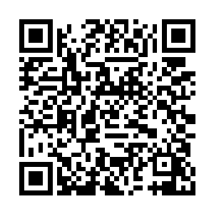 正是你拍下了我们盘龙门的封印有绝学的龙神玉二维码生成