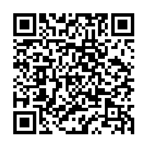 正是冷轩早几天在华夏图书馆遇见的那位老先生了二维码生成