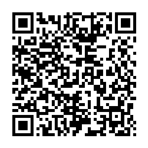 正是剑尘当初在圣光塔内遇见的那名拿着毛巾擦拭桌椅的那名老者二维码生成