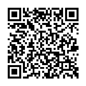 正是叶笑前段时间亲手制作出来的那一把冰魄剑二维码生成