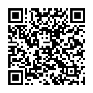 正是唐劫当年以大许愿书为洗月派种下的无上气运二维码生成