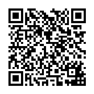 正是唯有九域中九大上国大帝才能修炼的帝王之眼二维码生成