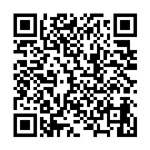 正是在雷霆训练营的第二轮淘汰赛中胜出的二十名学员二维码生成