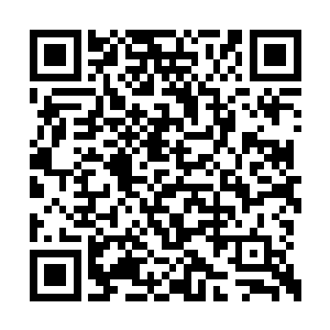 正是她与她的弟弟张晓鸥将楚暮从海边带了回来二维码生成