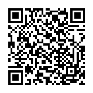 正是她以传音入密的方式告诉他一定要拿下这个宝珠二维码生成