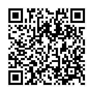 正是当初从天一的第三只竖眼所飞出的那片指甲二维码生成