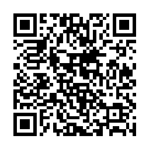 正是当初剑尘扔在这里磨练的烈焰佣兵团的核心成员二维码生成