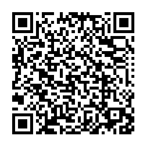 正是当初在从威夷次大陆搬到太夏的晋云国和齐岚国的那些华族豪门二维码生成