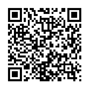 正是当初导致这个肉身原来的主人叶笑死去的罪魁祸首二维码生成