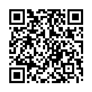 正是当初林烽用神水救活的那只黄色土狗二维码生成