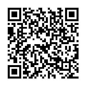 正是当初追击夏族万里之遥的西方大陆军团的首领二维码生成