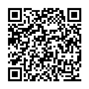 正是当日在飞天台上所购买的一截梧桐树的树枝二维码生成