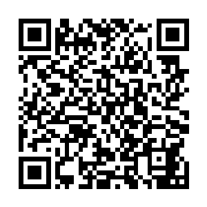 正是把林凡原本进入省人民第一医院实习名额抢走的王进二维码生成