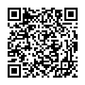 正是折家精骑和女真西路军完颜蒲家奴部的哨探轻骑二维码生成