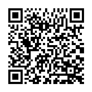 正是旁边冷笑轻蔑看着她的灰姑娘妹妹莉亚口中说出来的二维码生成
