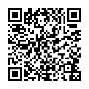 正是杨戬使用万年石钟乳还有其余的一些药材配置的药液二维码生成