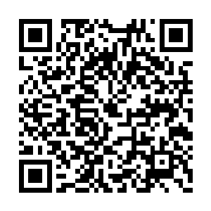 正是此时拼命想办法想帮助凌兰度过危机的凌霄二维码生成