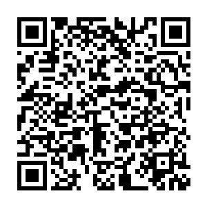 正是气势最盛的时候遭受了这样的厄运凌菲能理解他们心里的绝望二维码生成