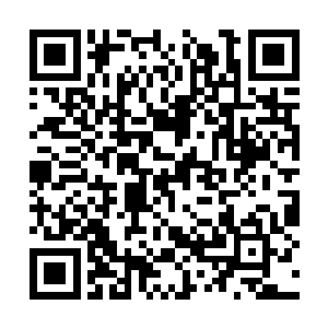 正是游侠学习法术和增长能力最正规且强大的途径二维码生成