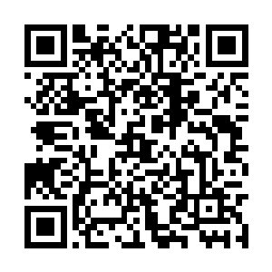 正是照日天宗数名修为较弱的弟子合力抱团的所在二维码生成