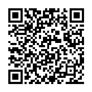 正是白冰儿借此岩石消解了一部分左裂天的劲气二维码生成