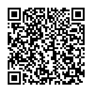 正是白天在鲍大腿家使用嗜血蛊将鲍大腿变成行尸鬼的那个神秘的高手二维码生成