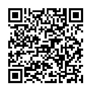 正是自己父亲林胜利经常用来进货的那一辆面包车二维码生成