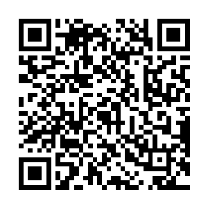 正是苏凡在笑面双子的要求下从珠宝店里面抢劫出来的二维码生成