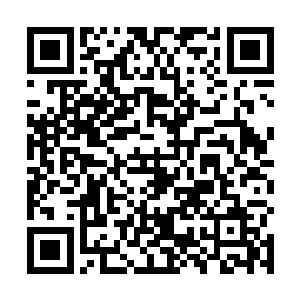 正是被战王派出来击杀楚暮的五天将之战无空和战无影二维码生成