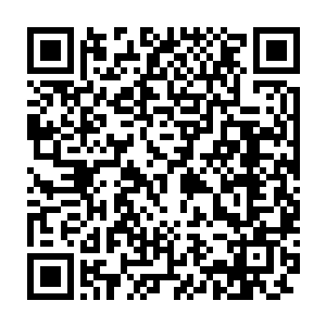 正是被江千凌那一招绝技的寒冰暗劲冻坏了身体内部的所有经络和器官二维码生成