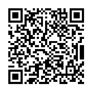 正是要与洪大力争抢少主称号的本日国风田财阀少爷五本光二维码生成