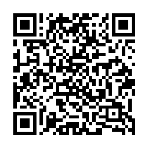正是许紫烟朝着半空中的那个大地族圣级五层大修士呵斥二维码生成