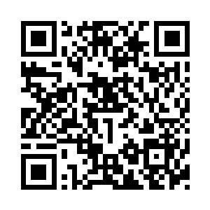 正是跟当日杀它幼崽的人的衣服一模一样二维码生成