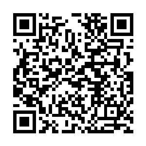 正是这两个字将你和宾利之间的父子之情一点点的吞噬干净二维码生成