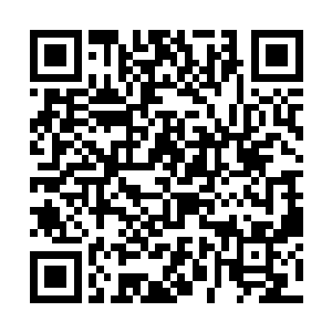 正是这个超大型法阵代替高山峻岭阻止了妖族的入侵二维码生成