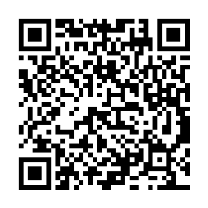 正是这么一只断手正用力地拉扯着我往血海最深处下潜而去二维码生成
