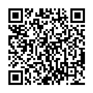 正是这些有关于衣食住行方面的知识构成了丛林战的基础二维码生成