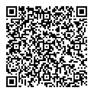 正是这恐怖的后果 才会在无数年來 不敢有人不敢跨越雷池一步 每一个强者 都是格外的珍惜自己的生命 越是强大便越是如此二维码生成